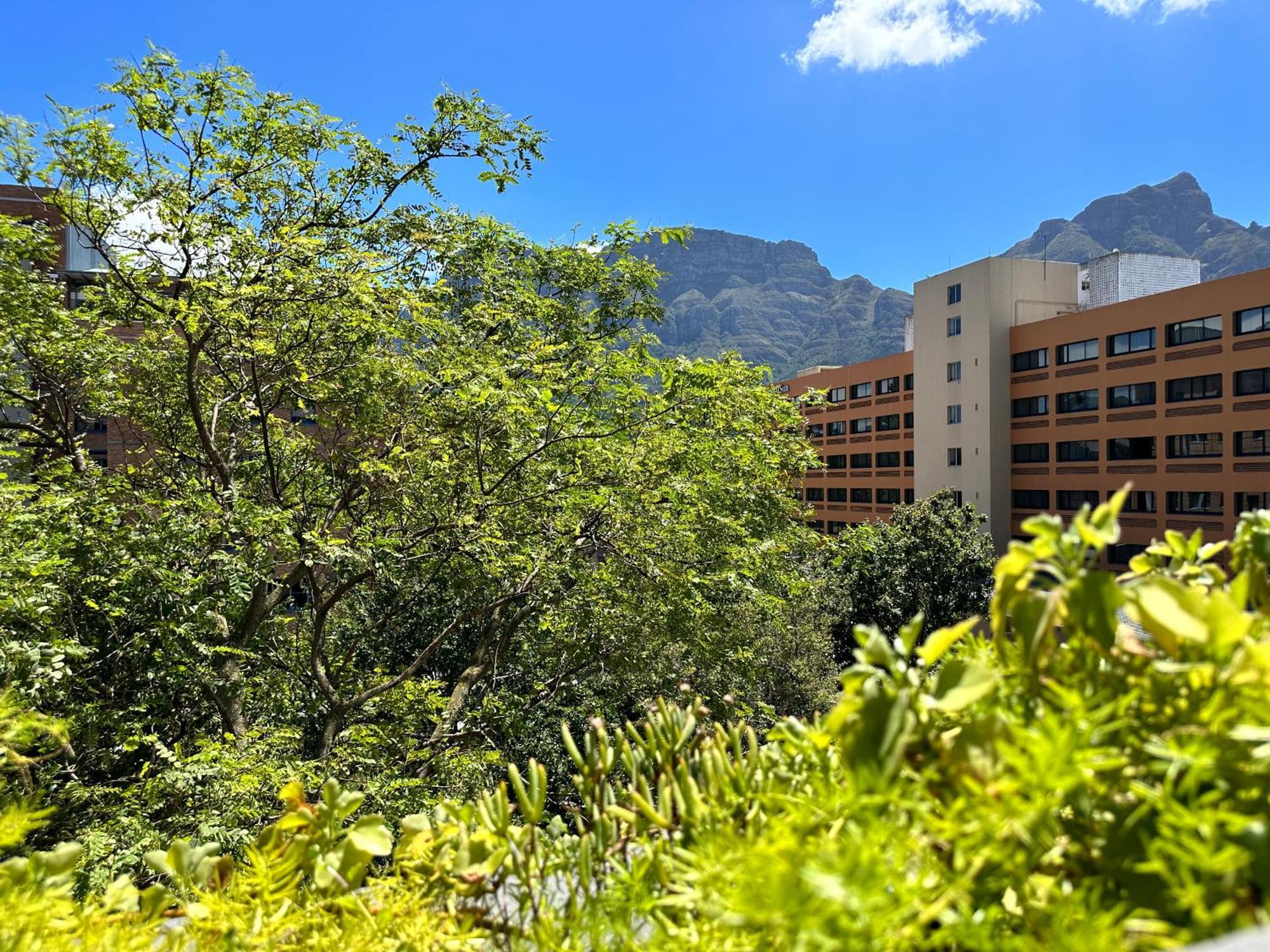 Apartment Newlands Peak